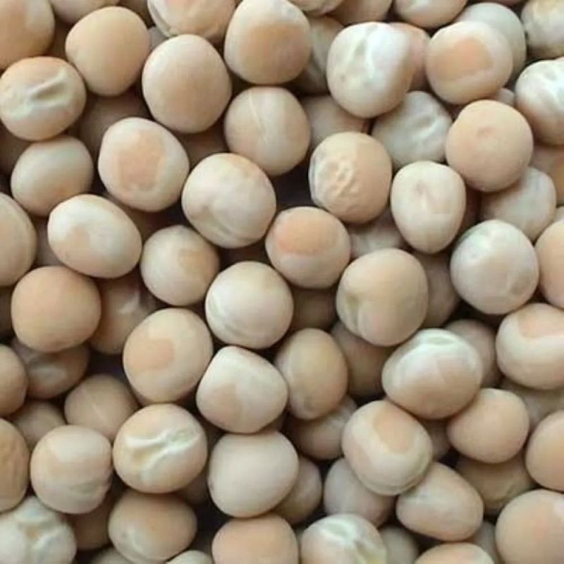 Common White Matar, for Cooking, Specialities : Good Quality