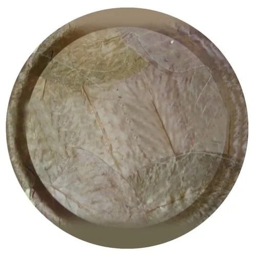 disposable sal leaf plates