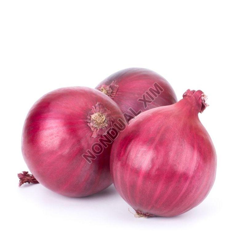 Maharashtra Fresh Red Onion, Net Bag, Packaging Size: 50 Kg