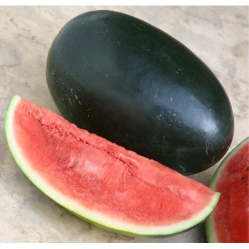 Organic Fresh F1 Hybrid Watermelon, for Human Consumption
