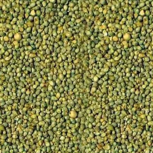 Natural Green Millet Seeds, for High In Protein, Packaging Type : Bag