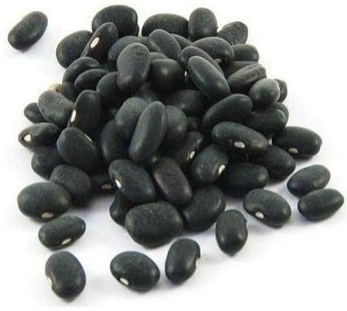 Small Black Kidney Bean