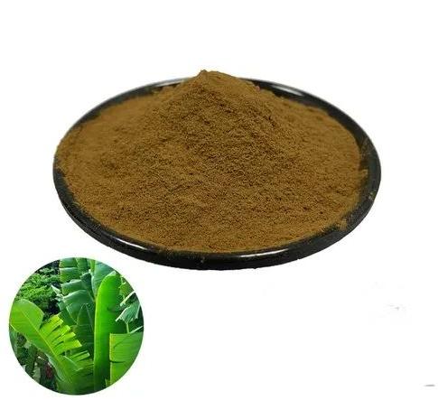 Right Export Banana Leaf Extract Powder, For Medicinal Use, Packaging Type : Plastic Pack