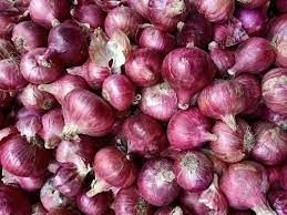 Pink Natural Fresh Golta Onion