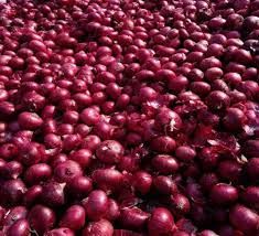 Pink Natural Fresh Golti Onion