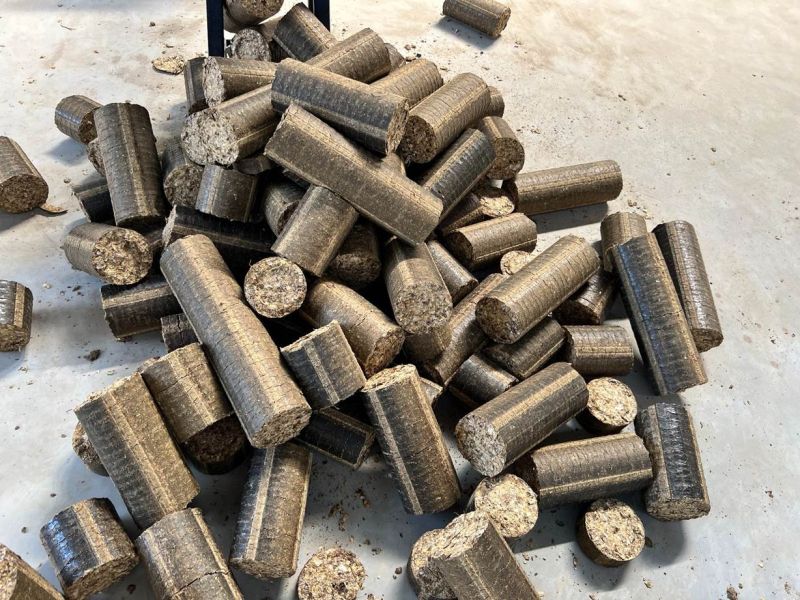 Common Groundnut Shell Biomass Briquettes