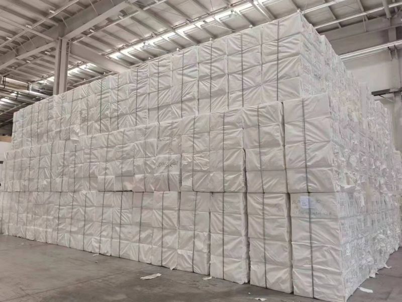Sugarcane Bagasse Pulp Sheet, for Tableware Making, Feature : Dried