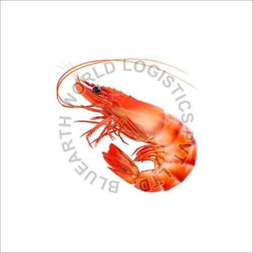 Red Tiger Prawns