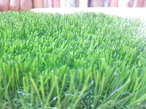 PE Artificial Turf Grass, for Garden