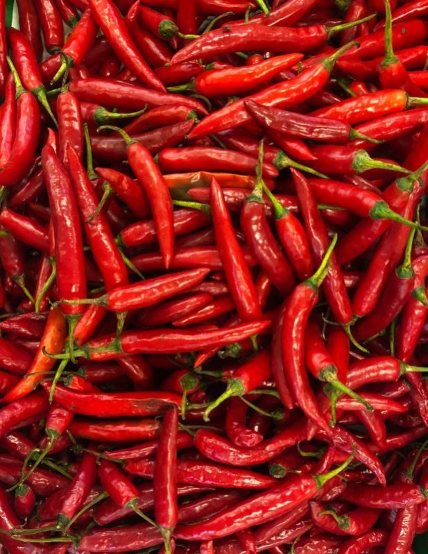 Dark-red Organic Fresh Red Chilli, for Food, Feature : Purity, Hot Taste