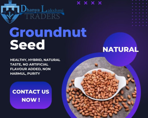 Natural Groundnut Seeds, for Agriculture, Food, Shelf Life : 1year