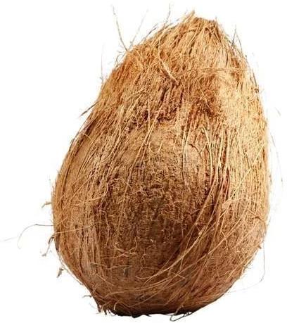 Organic Semi Husked Coconut, for Free From Impurities, Easily Affordable, Packaging Type : Jute Bags