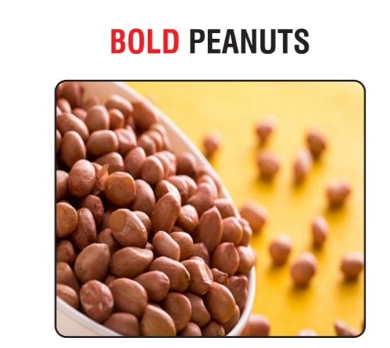 Common Bold Peanuts, Feature : Easy To Digest