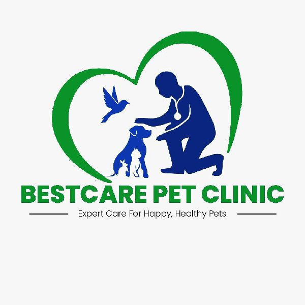 Pet Clinic In Lucknow Best Care Pet Clinic