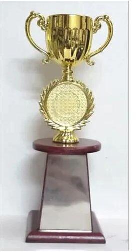 Fibre Cup Wooden Trophy, Color : Golden