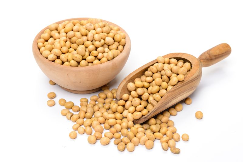Yellow Organic Soya Bean, for Cooking, Packaging Type : PP Bags