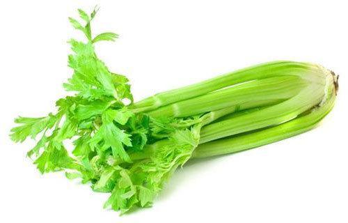 Fresh Celery, Packaging Type : Gunny Bag