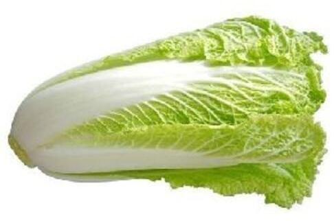 Oval Fresh Chinese Cabbage, for Cooking, Packaging Size : 10-20kg