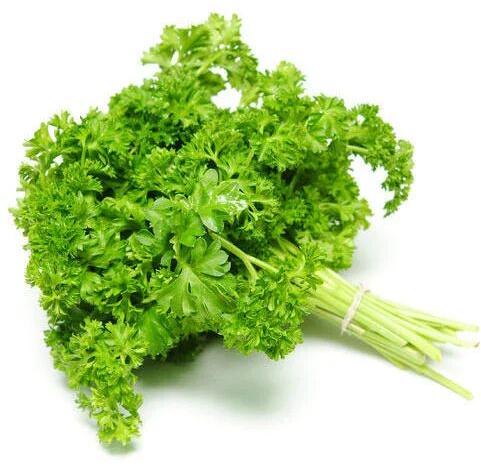 Leaves Organic Fresh Parsley, for Cooking, Shelf Life : 5 Days