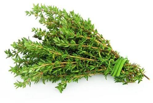 Fresh Thyme Leaves