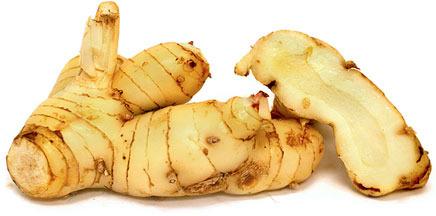 Fresh Galangal Root