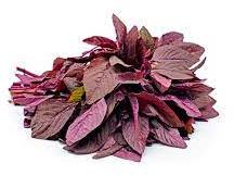 Red Amaranth / Red Molai Leaves, Variety : Spinach