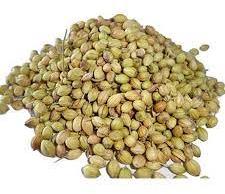 Brown Natural Coriander Seeds, for Cooking, Certification : FSSAI Certified