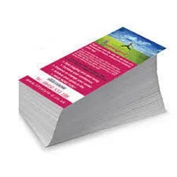 Paper Printed Pamphlets, Size : Standard
