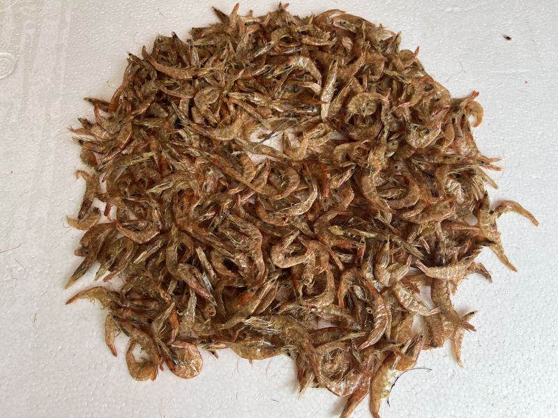 Dry fresh water prawns medium size, for Home, Packaging Type : Box