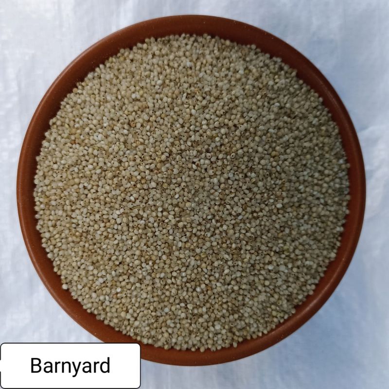 Seed Barnyard Millet, Packaging Size : 250gm