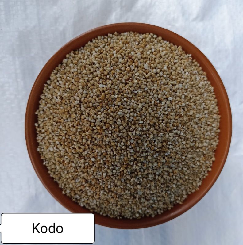 Brown Natural kodo millet, for Cattle Feed, Variety : Dried