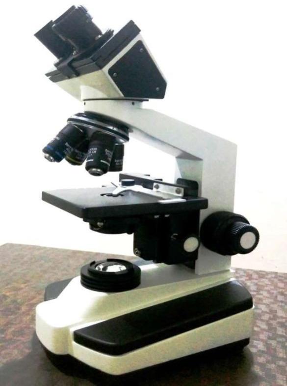 Battery Binocular Coaxial Microscope CXL, for Forensic Lab, Science Lab