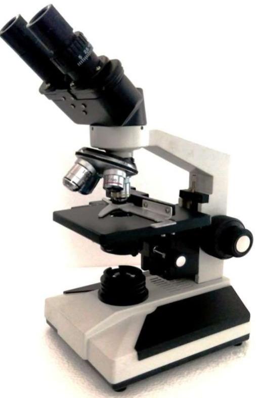 Grey Binocular Research Microscope CXL -Eco, for Forensic Lab, Science Lab