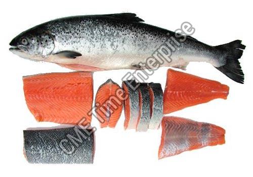 Frozen/Fresh Salmon fish