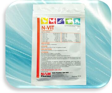 N-VIT Effervescent supplement