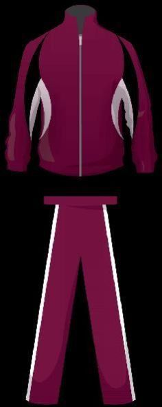 Sublimation Team Tracksuits