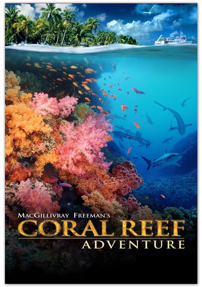 CORAL REEF ADVENTURE story book