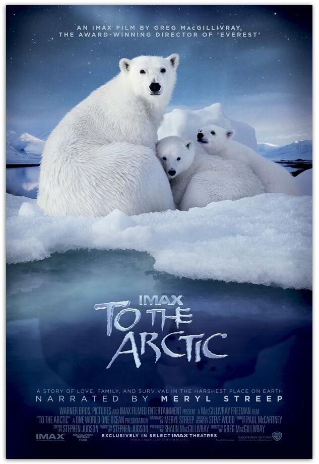 TO THE ARCTIC POSTER