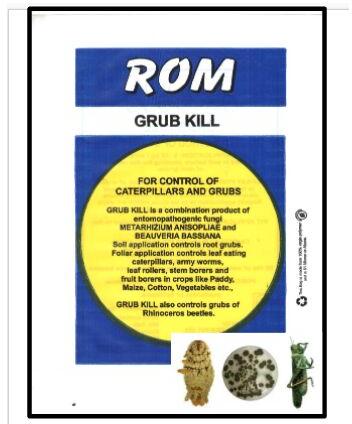 ROM Grub Kill Biopesticide, Packaging Type : Packet/Bag