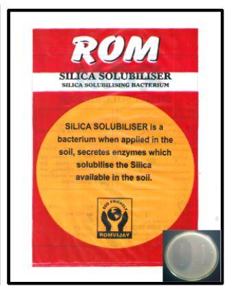 ROM Silica Solubilizer Biofertilizer