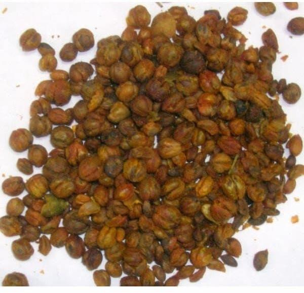 Phyllanthus Nirur Extract