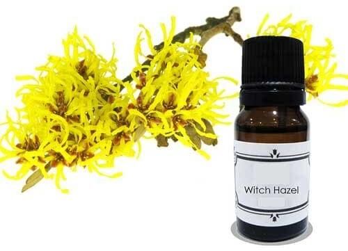 Witch Hazel Liquid Extract