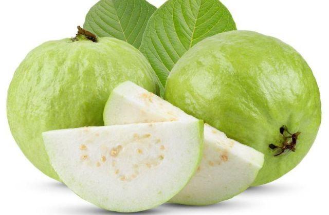 Organic Fresh Guava, for Human Consumption