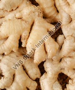 Fresh Ginger, for Cooking