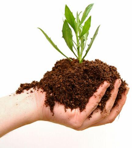 Herbal soil conditioner, Packaging Size : 6-12 Kg
