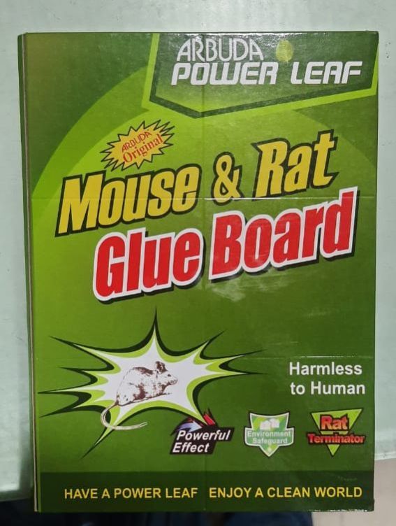 Mouse & Rat Glue Board, Size : Standard