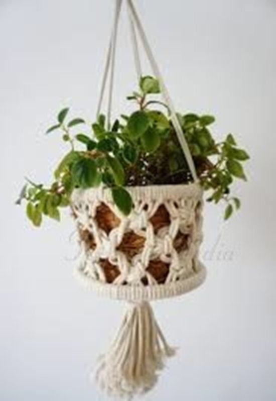 Cotton PH109 Macrame Plant Hanger, for Decoration, Outdoor Use Indoor Use, Feature : Easy To Placed