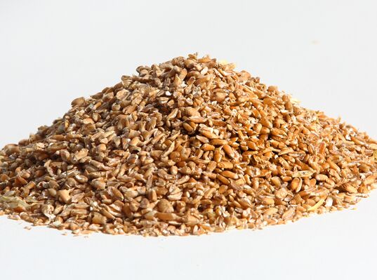 Common wheat, for Bakery Products, Cookies, Cooking, Making Bread, Color : Brown-Yellow, Creamy