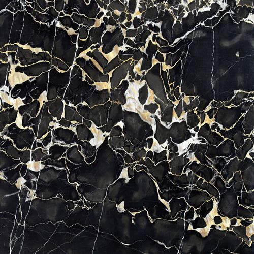 Nero Portoro Marble