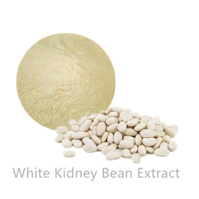 white kidney beans (Phaseolous vulgaris)Amylase activity